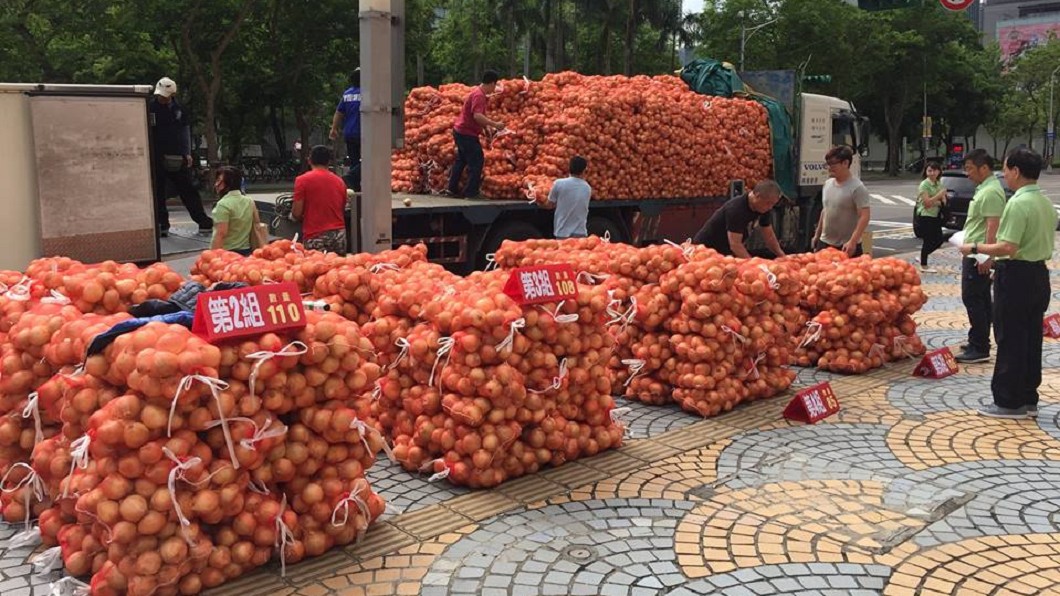 洋蔥盛產價跌　柯文哲認購500袋給長者加菜
