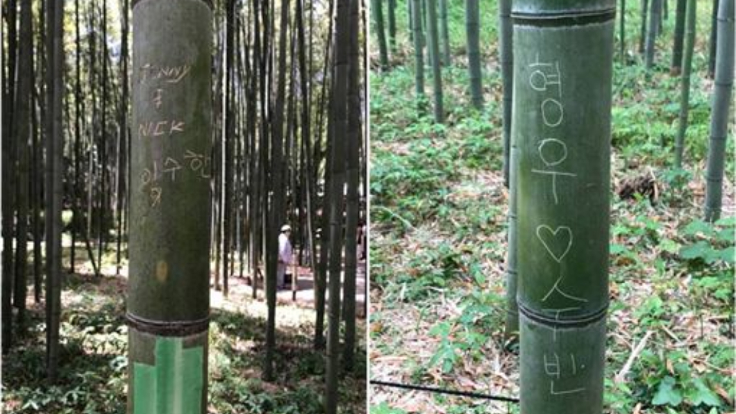 圖／翻攝自えびす屋嵐山臉書