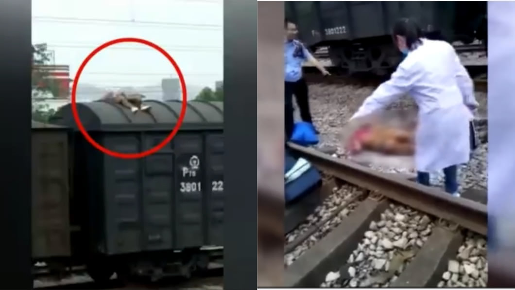 想當網紅!男爬火車拍片 觸高壓電「燒成肉泥」