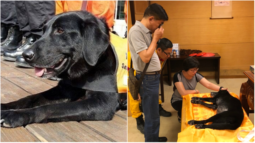 任務結束！八八風災搜救犬逝世　消防員淚眼道別…