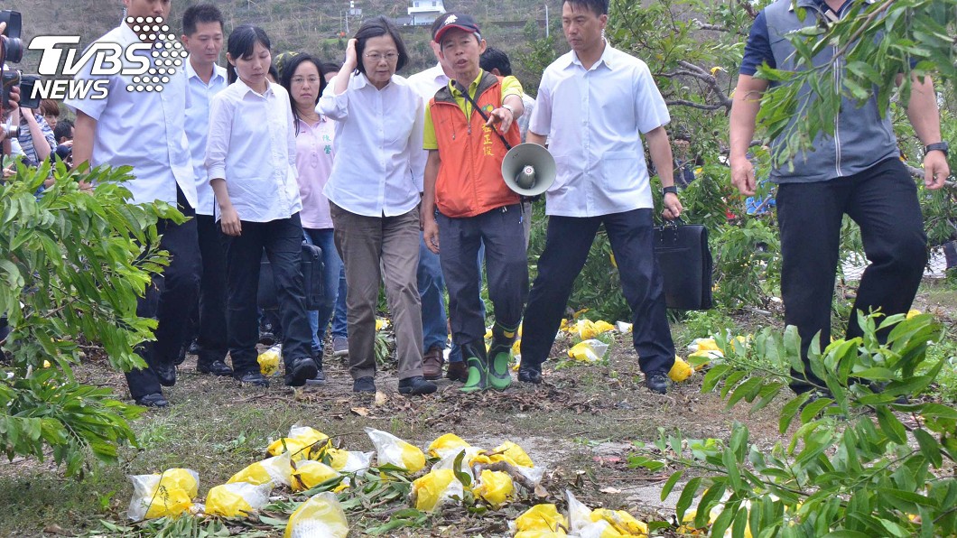 台東釋迦災害保險 農民投保意願降