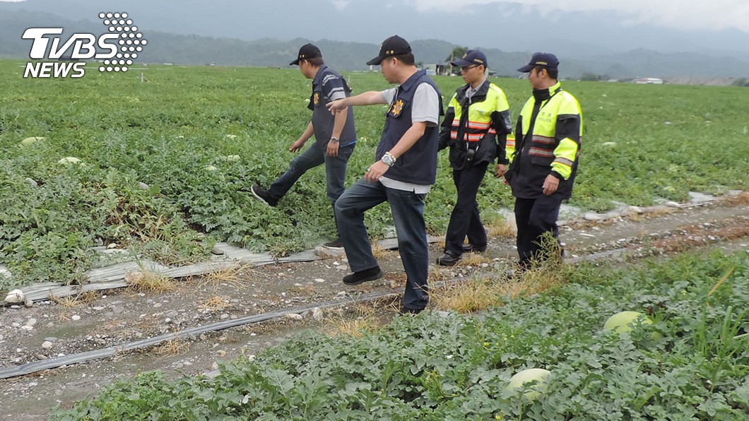 花蓮西瓜進入產期　警啟動護瓜專案