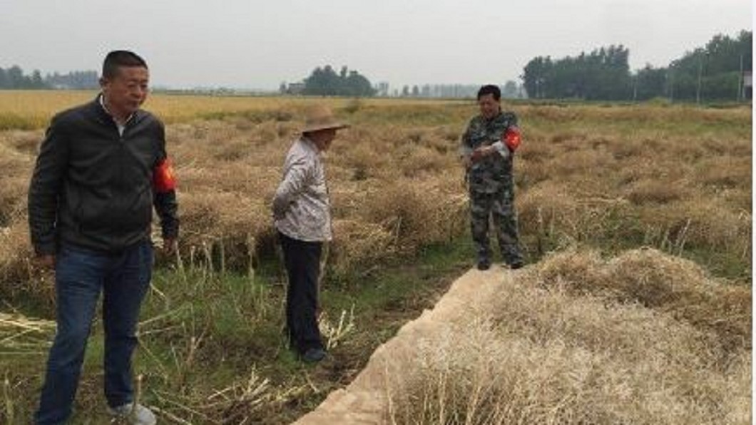 大陸電商打悲情行銷 騙蘋果滯銷賺百萬