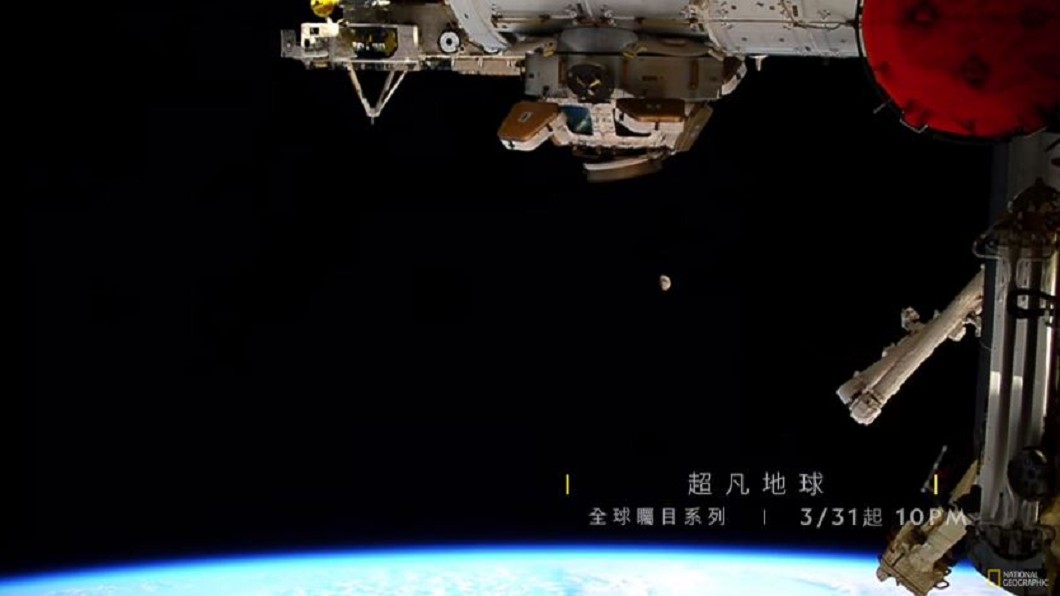 創造地球豐富萬象 幕後功臣是「史前生物」