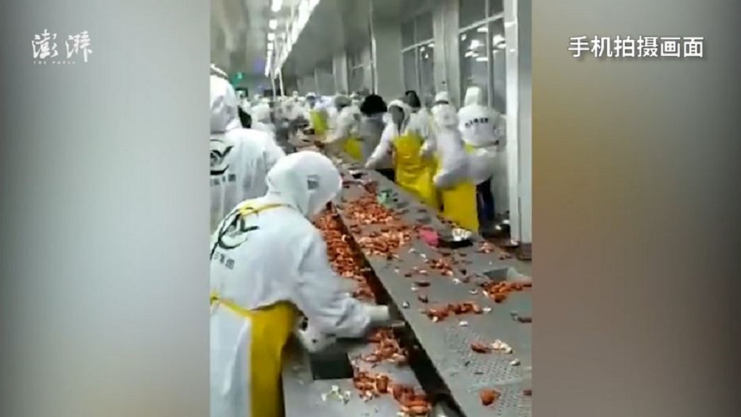 小龍蝦大戰!工人起爭執 空中扔蝦挨批