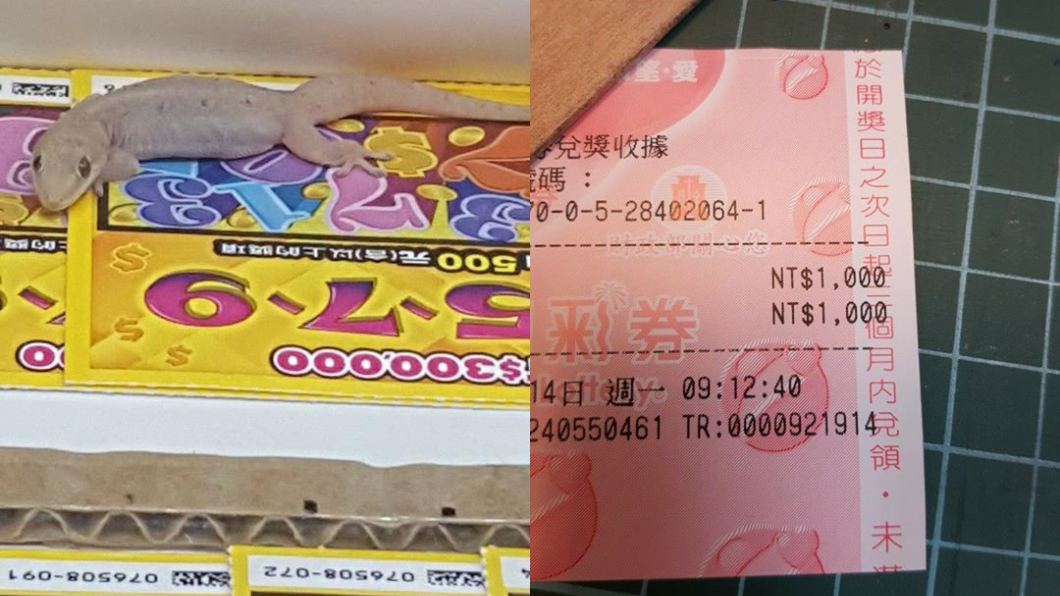 壁虎緊趴刮刮樂!網驚喜「那張必中」 客買下爽翻