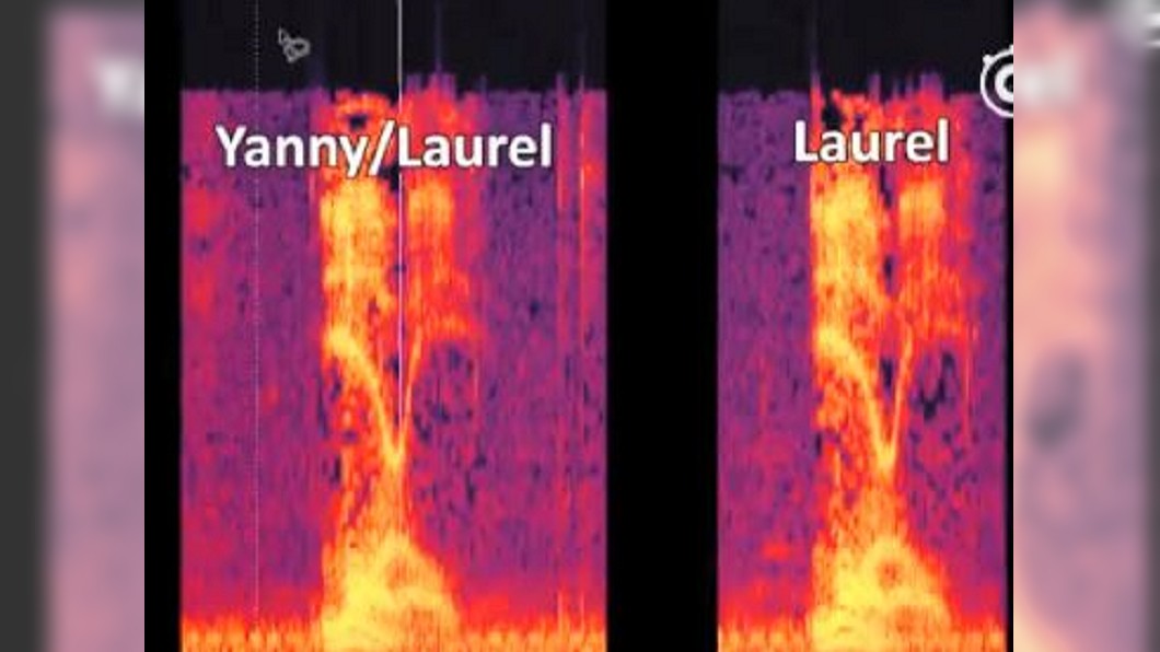 Yanny還是Laurel? 網路錄音檔瘋傳討論