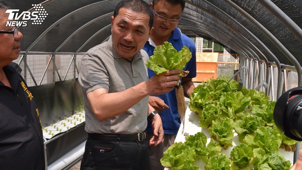 侯友宜訪生態園區 體驗拔菜、抓蚯蚓