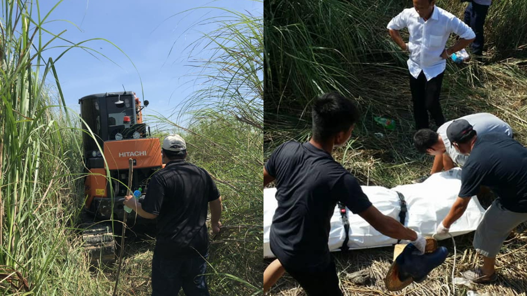 真的是魔神仔?地瓜嬤遺體 百公尺外「芒草堆中」尋獲