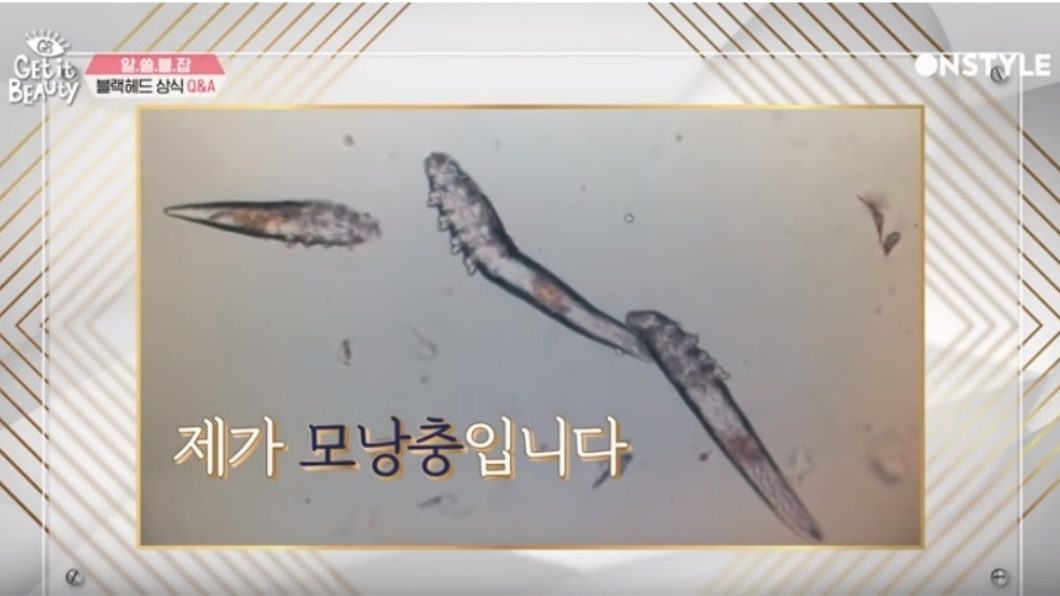 圖/擷取自影片