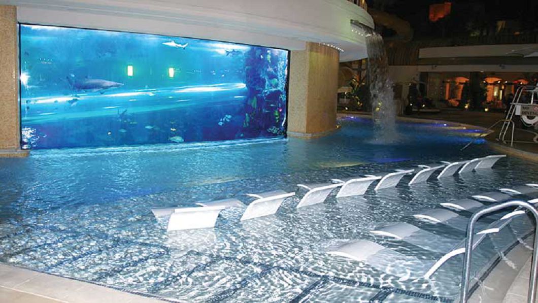 「全球最酷」泳池 跟著8隻鯊魚一起游
