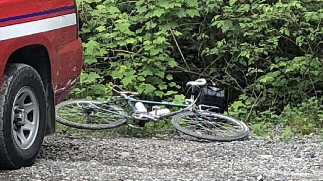 單車男遭美洲獅啃咬「滿頭血」 朋友嚇得逃跑卻先死