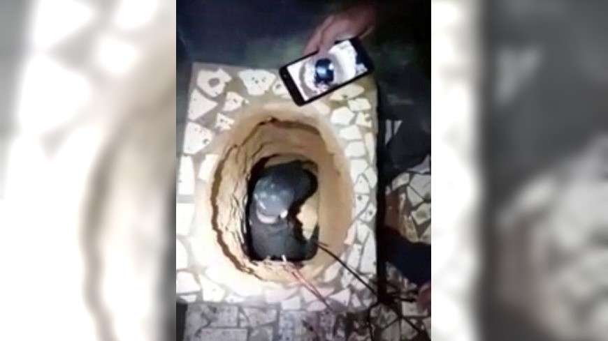 巴西囚犯挖馬桶地道　逃獄失敗缺氧而亡
