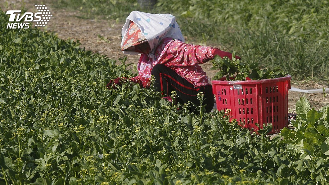 農民職災保險　雲林補助一半保費