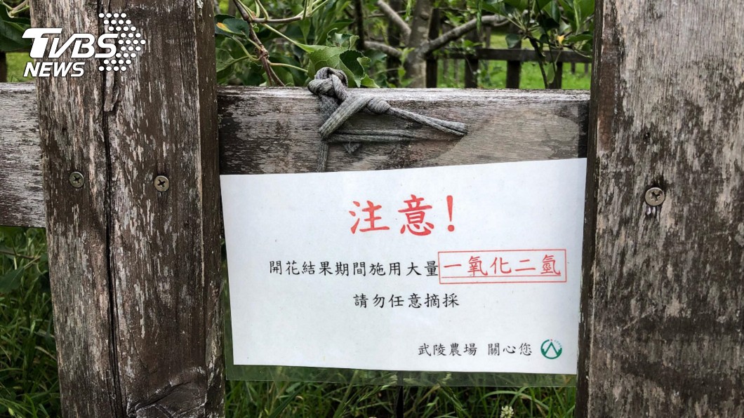 噴灑一氧化二氫！農場「化學式」警告讓蘋果逃偷摘劫