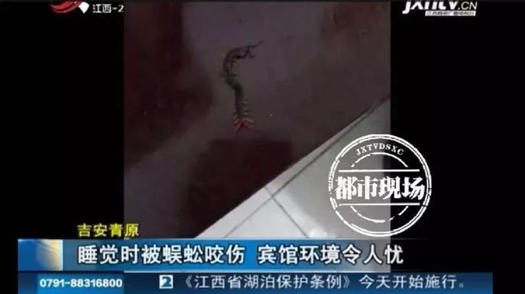 男賓館午睡突遭「舌吻」 醒來驚見蜈蚣爬