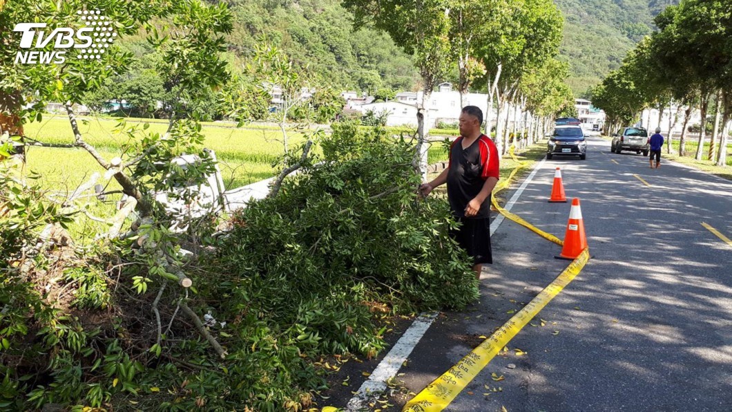 黑暗道路車禍 台東縣長黃健庭秘書撞路樹亡