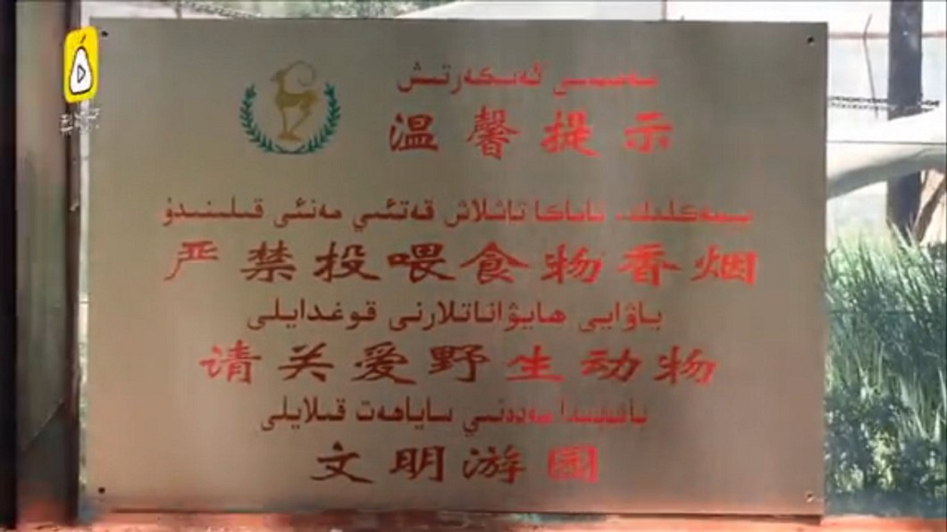圖/翻攝自《微博》