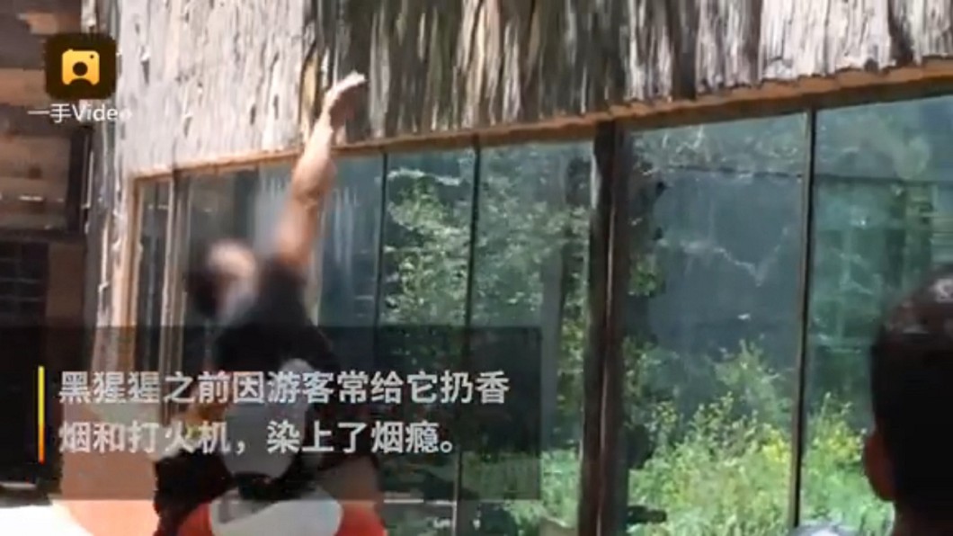 圖/翻攝自《微博》