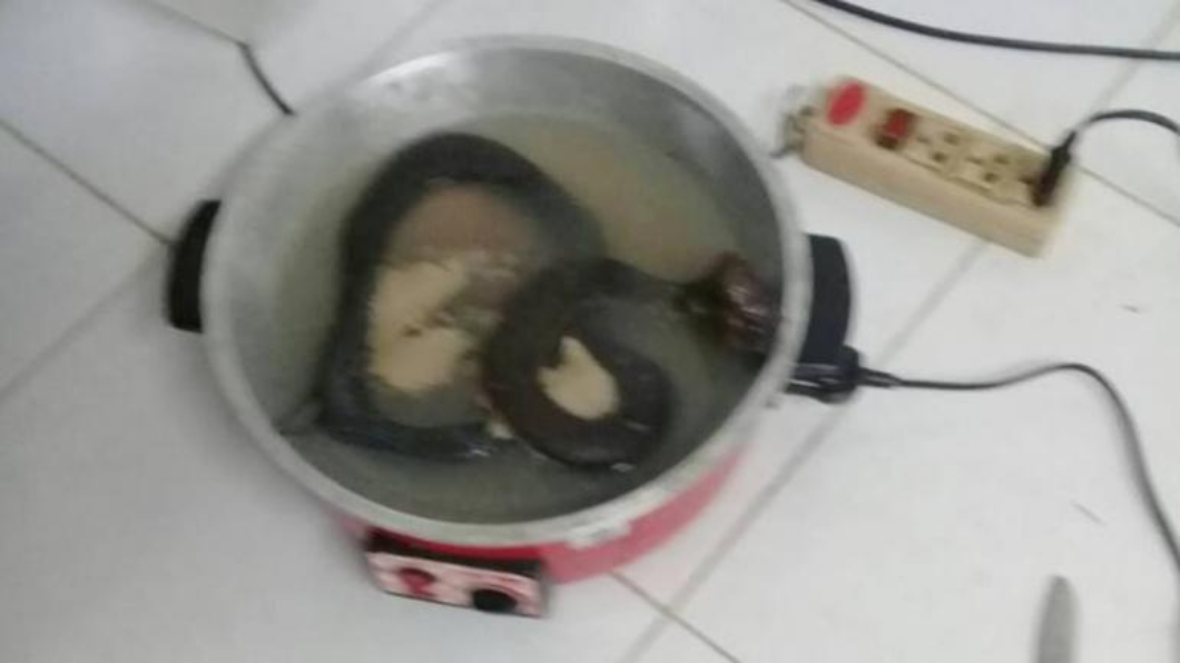 殺眼鏡蛇煮湯當下酒菜 他喝1口馬上悲劇