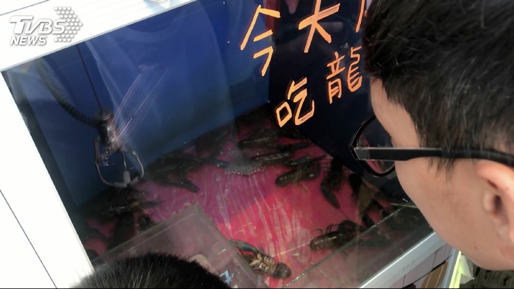 夾娃娃機擺龍蝦 基市府:未來申請擺設會嚴審