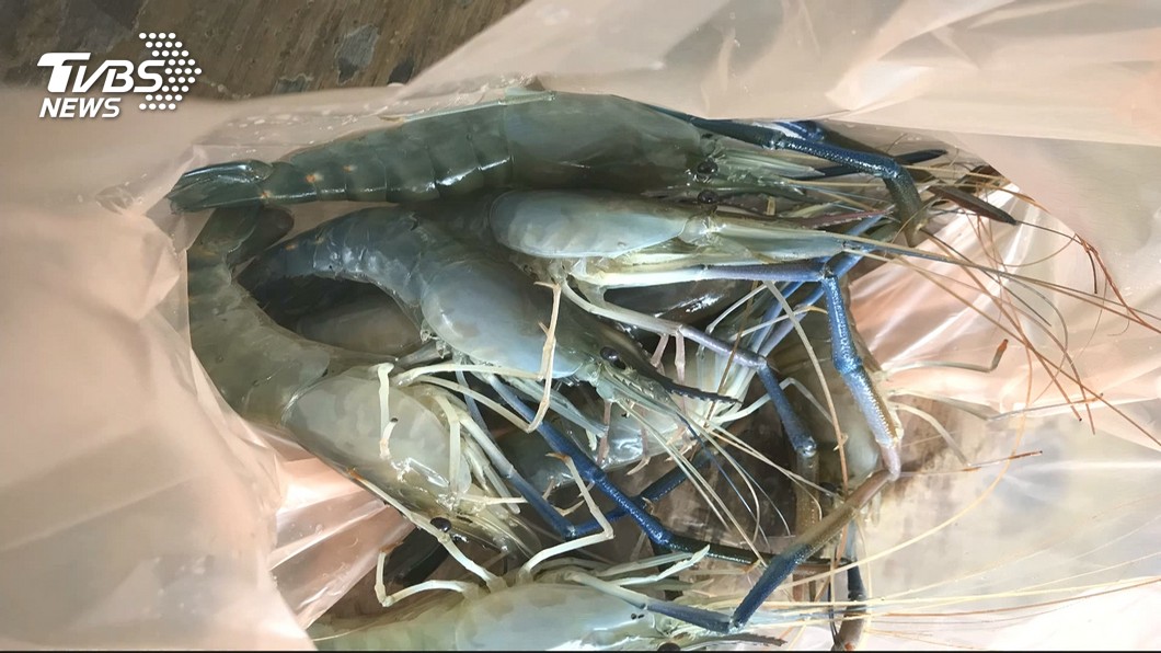 不用親手剝也不能買　好市多冷凍生蝦檢出致癌物