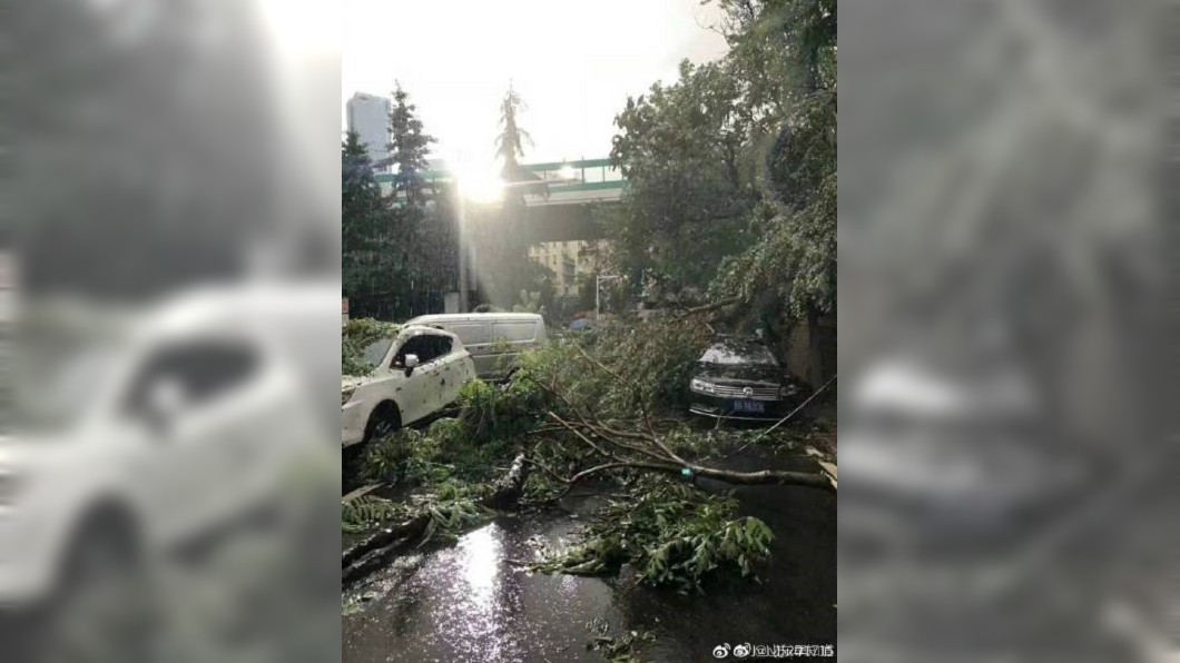 陸青島遭冰雹襲擊！　砸破車窗、西瓜開花