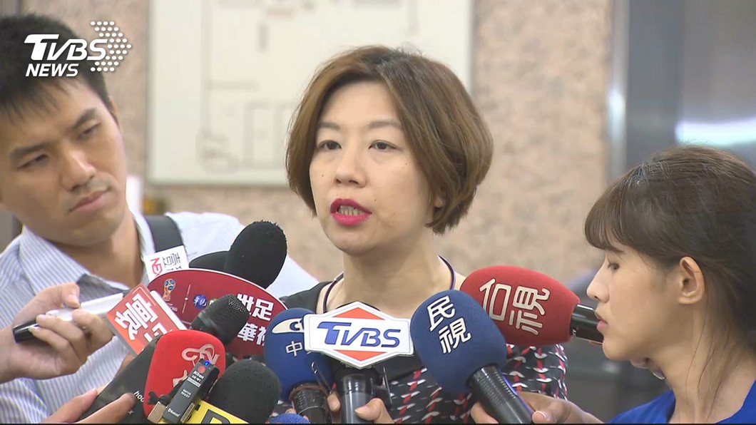 民進黨立委林靜儀。圖/TVBS資料畫面