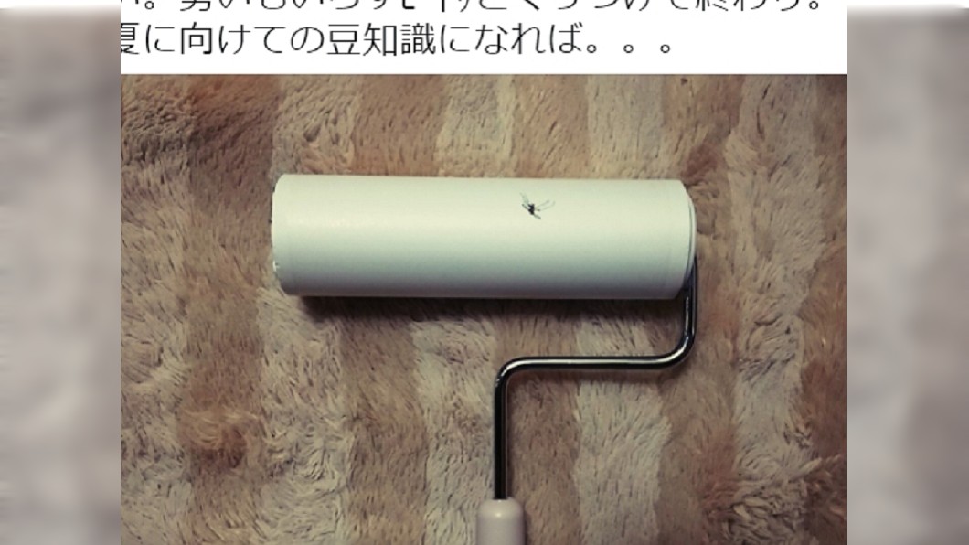 夏季蚊蟲惱人！捕蚊妙招「用這根」　日網友驚呼：超實用