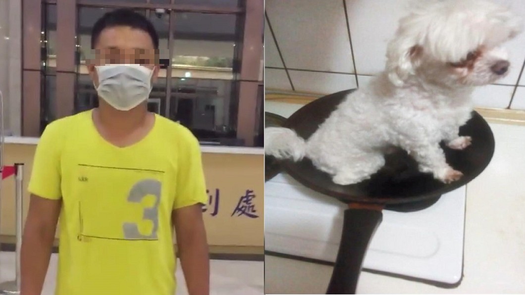 烤狗男交保致歉 親友求放過妹妹:她是無辜的