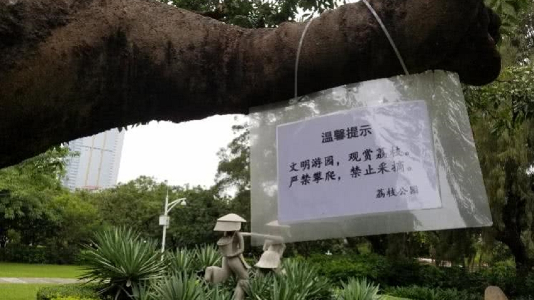 圖/翻攝自南方都市報