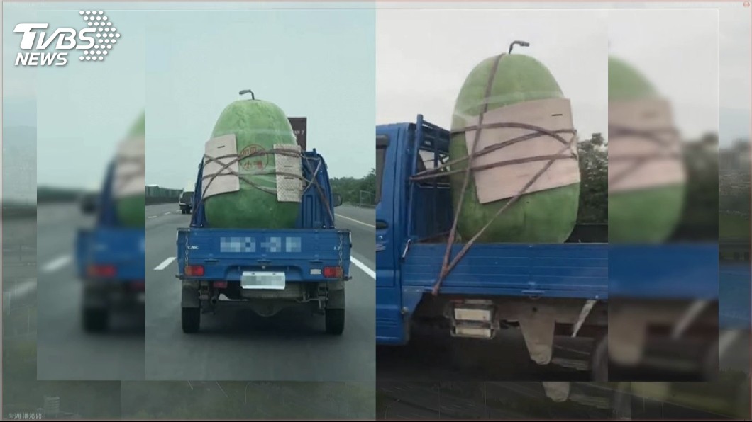 國道驚見巨無霸西瓜　比人高塞滿小貨車