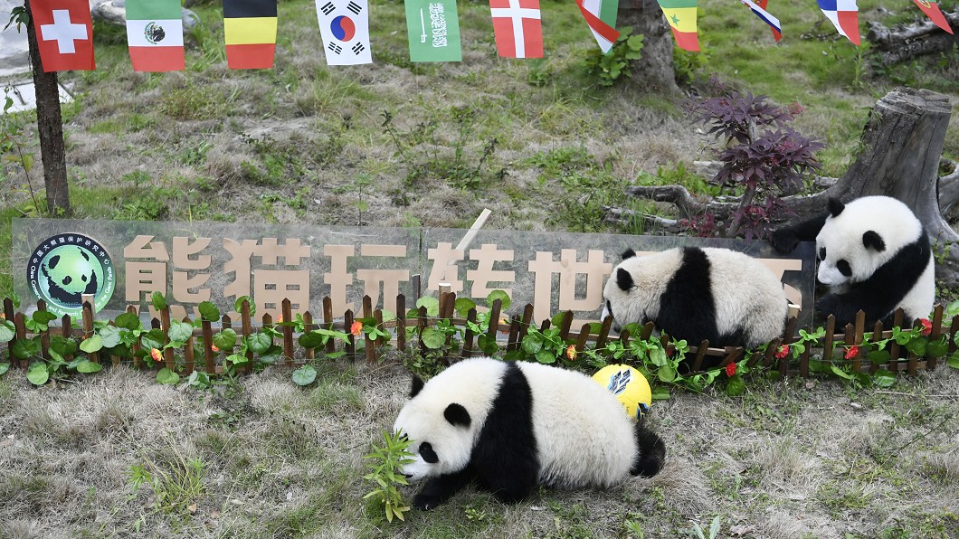 踢不進世足賽　中國官媒照嗨