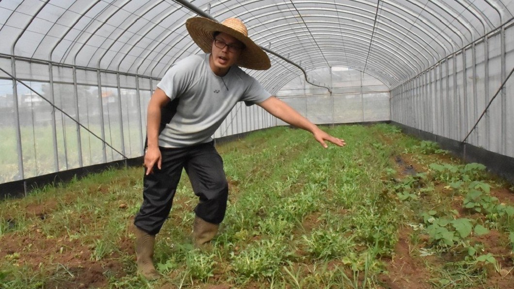 想改變台灣農業! 牛津理工高材生返鄉種菜