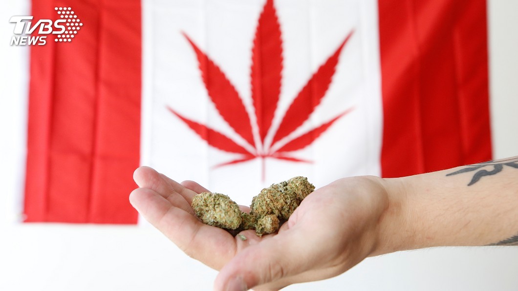 加拿大大麻合法化 10月17日正式上路
