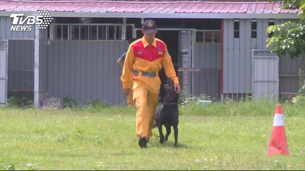 遭調查浮報飼養費 隊部:搜救犬沒健保