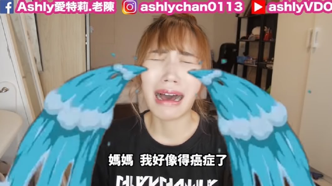圖/翻攝自「Ashly老陳」YouTube