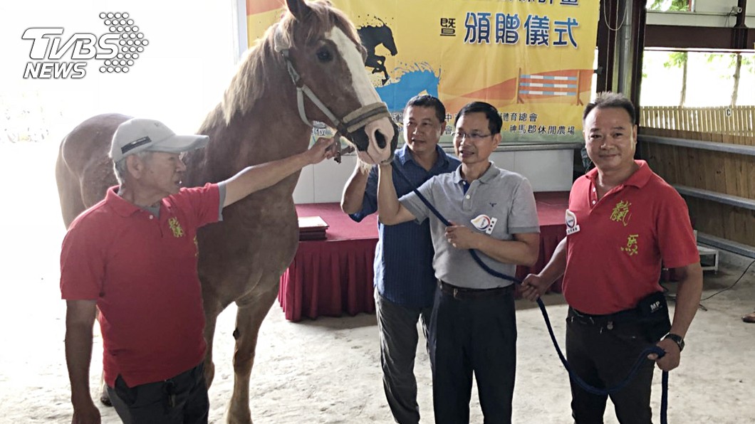 不再挨針 退役血清馬成生命教育教材