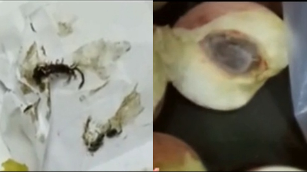 水蜜桃啃一半突被「咬嘴唇」 下秒見蜈蚣探頭鑽出