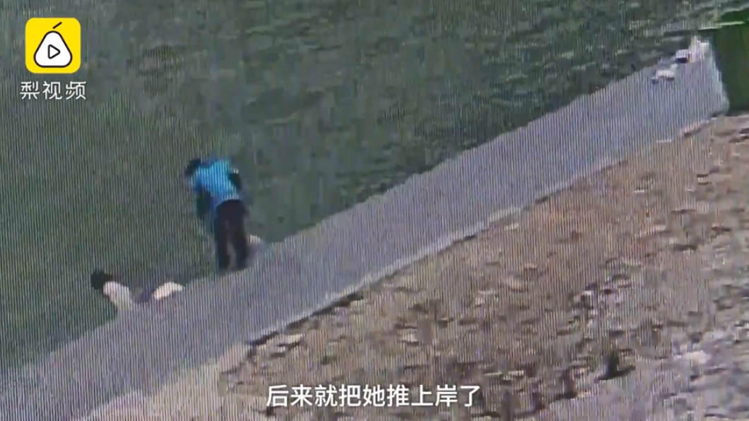 圖/翻攝自梨視頻