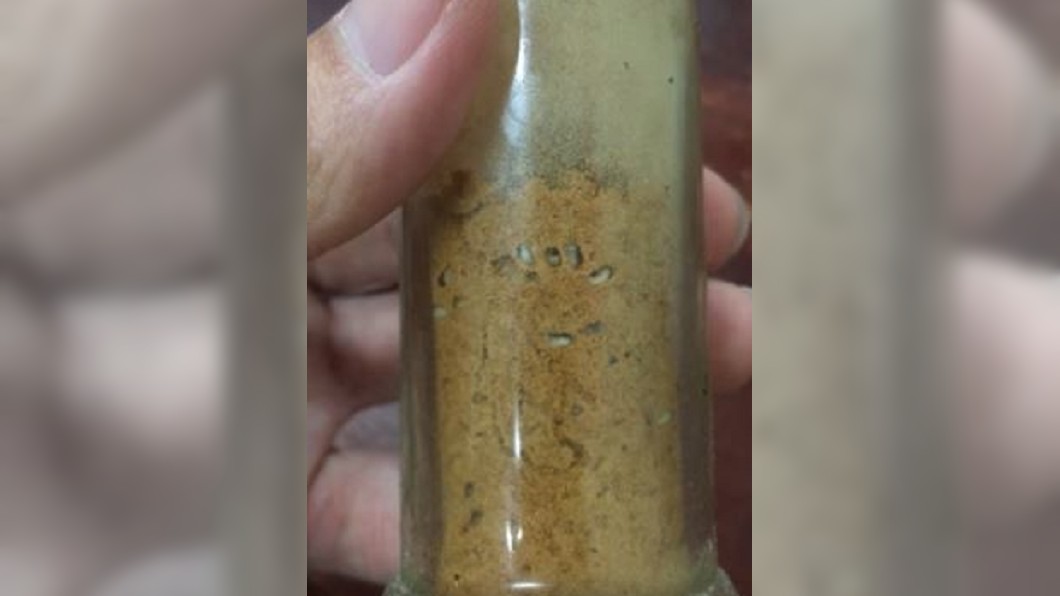 調味粉有「白芝麻」！　他細看…小蛆瓶內蠕動