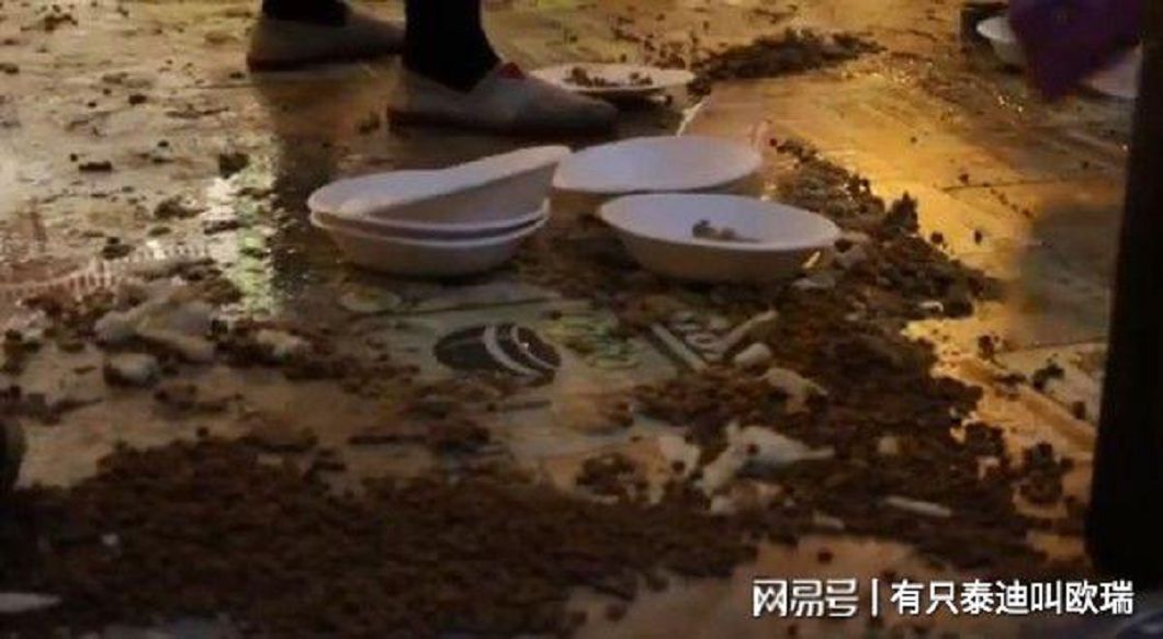 圖/翻攝大陸微博