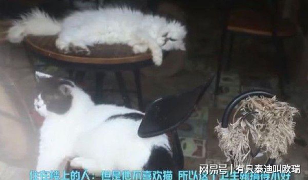 圖/翻攝大陸微博