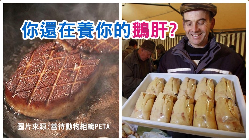 圖/善待動物組織PETA