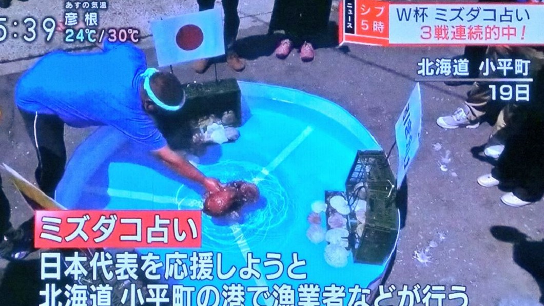 圖／翻攝N.(はるさん)推特