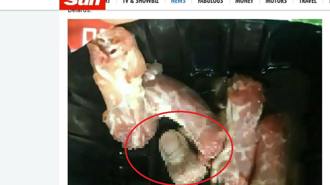 悚！買冷凍雞肉回家　打開驚見「慘白斷指」躺盒中