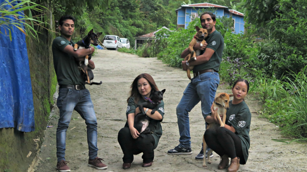 人道救援組織及時救出狗狗。圖／翻攝自Humane Society International-India臉書