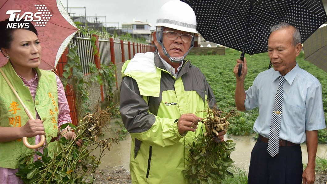 雲林花生災損 中央地方每公頃共補貼3.4萬元