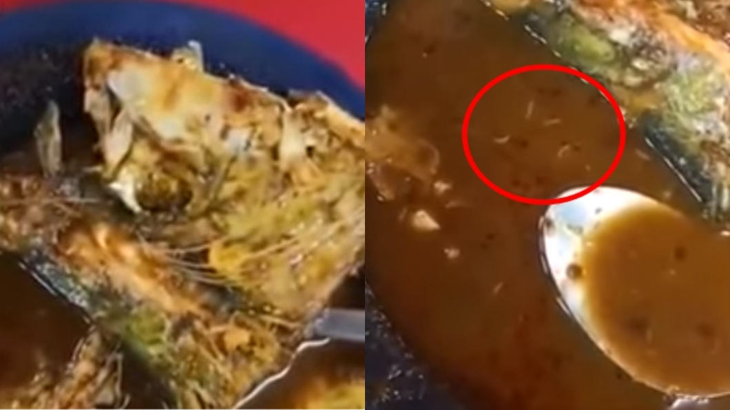 魚湯驚見「一群蛆蟲蠕動」　知名餐廳回：這不用算錢