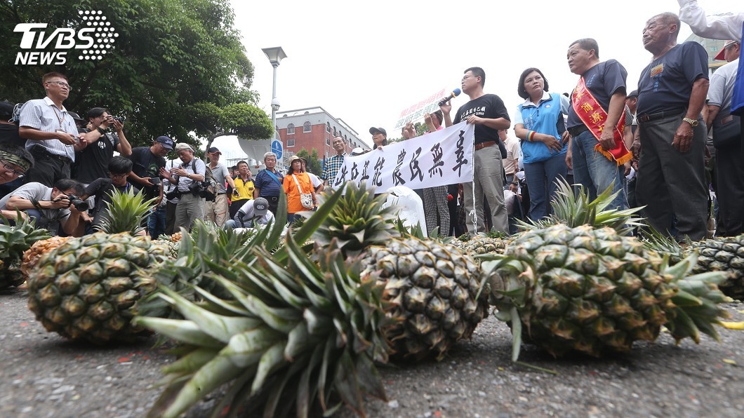 鳳梨價格大跌　200多名農民政院門口砸鳳梨抗議
